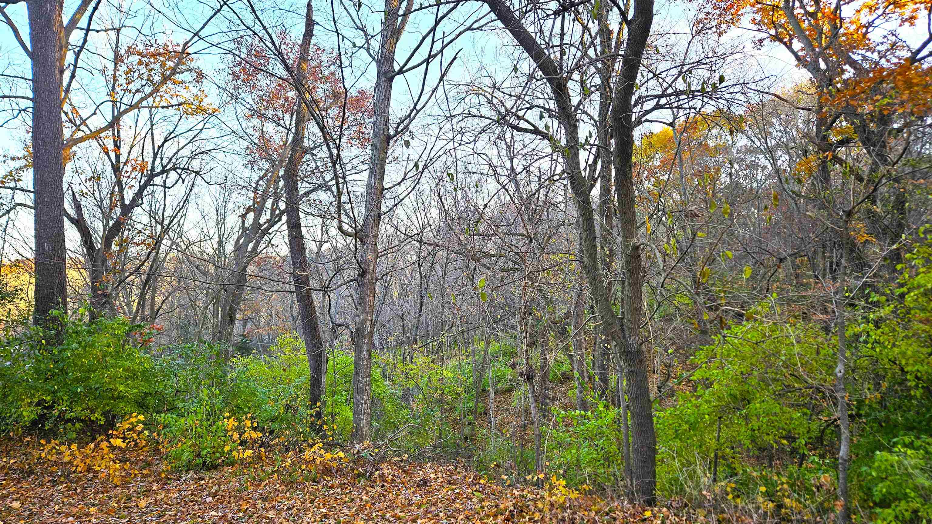 Rockford, Illinois 61109, United States, 3 Bedrooms Bedrooms, ,2 BathroomsBathrooms,Residential,Active,244257