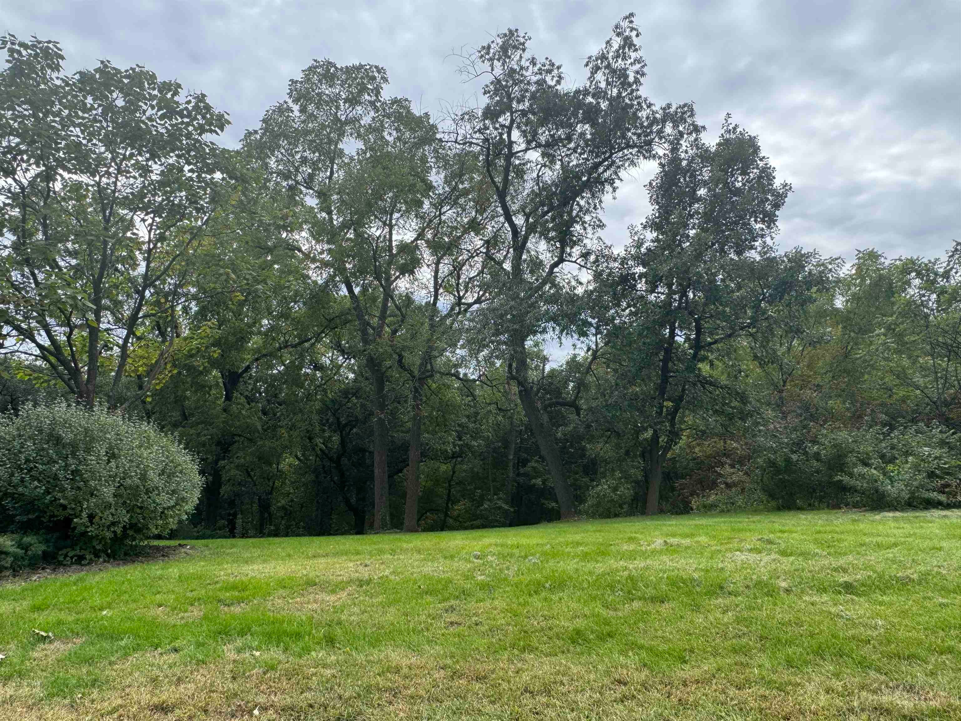 29 Cedar Rim Trail