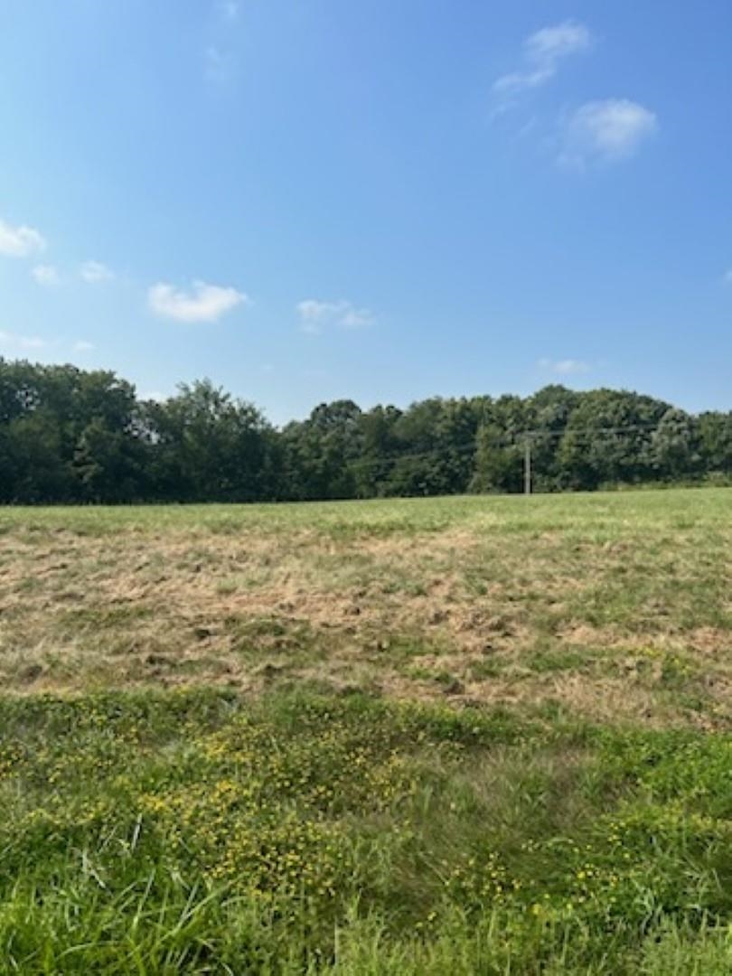 Lanark, Illinois 61046, United States, ,Land,Pending,65741