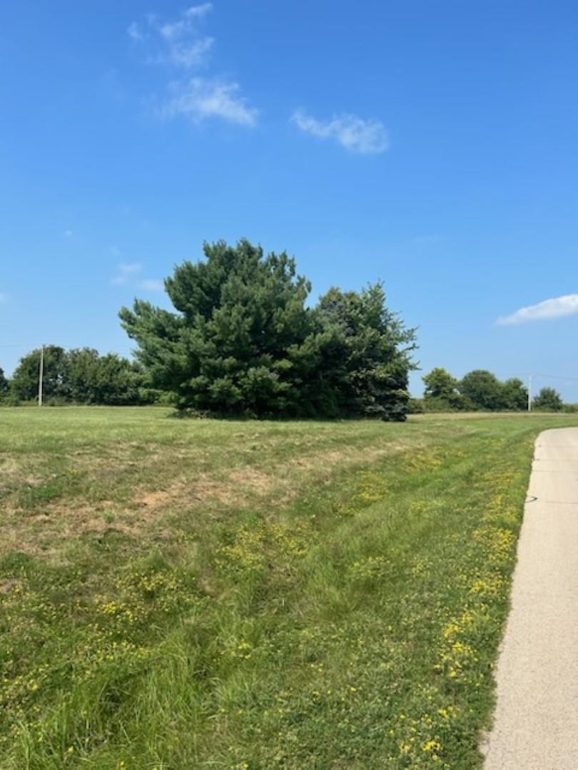 Lanark, Illinois 61046, United States, ,Land,Pending,65741