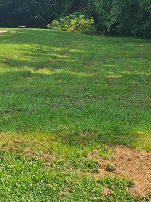 884 BRECKENBORO RD, DAVIS, IL 61019 - Image 7982ca7bbe3262a00e4457292fef2ce9/740502595