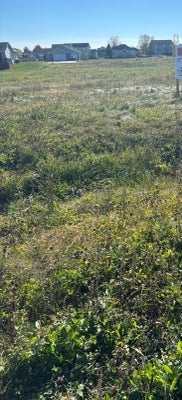 196 HARVEST GLENN DR, DAVIS JUNCTION, IL 61020 - Image 7e591597d87f04dfa9269ba63ffd1dea/986575871