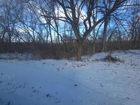 Vacant Land For Sale - 110 W Fork<br/> DIXON, IL 61021