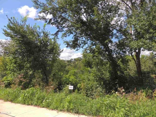SPROULE LN, GALENA, IL 61036 - Image 9b6ffef6934e17cbce0de0a531e6771d/4018545935