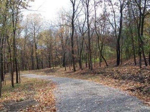 Vacant Land For Sale - LOT #6 Thirty Foot Trail Road<br/> Oglesby, IL 61348
