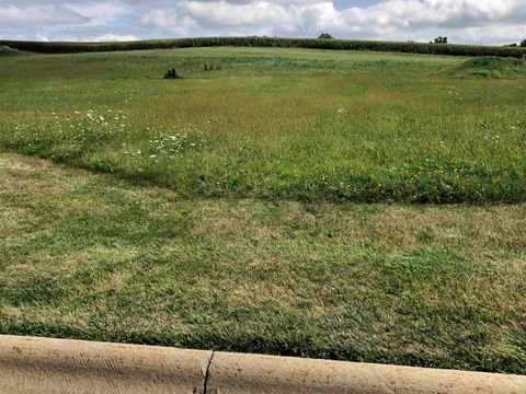Vacant Land For Sale - 411 Oak Ridge Dr Dr<br/> LENA, IL 61048