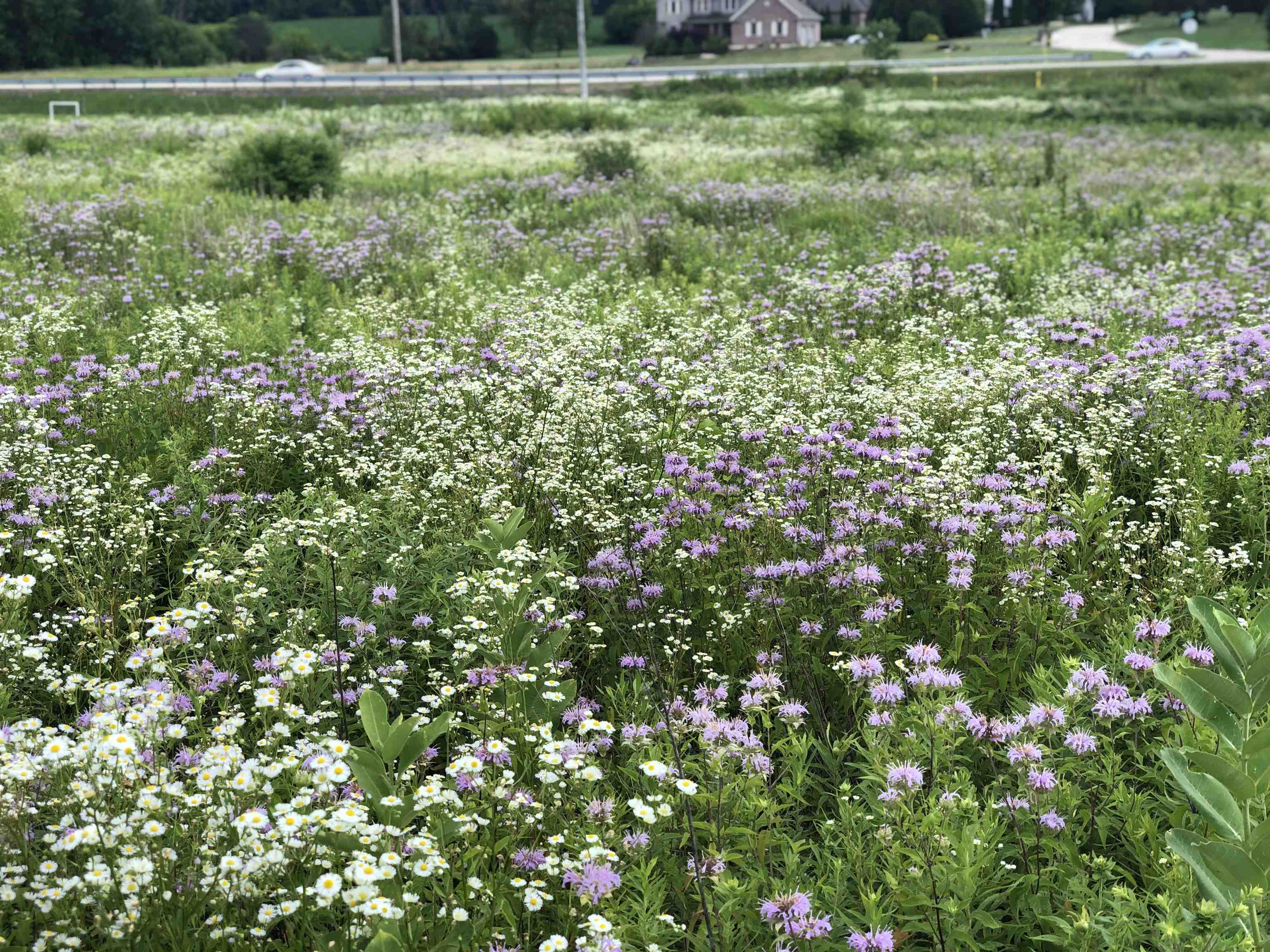 Rockford, Illinois 61102, United States, 4 Bedrooms Bedrooms, ,5 BathroomsBathrooms,Residential,Active,77147