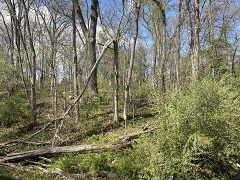 Vacant Land For Sale - Lot 168 Lake Thunderbird Hills<br/> Putnam, IL 61560