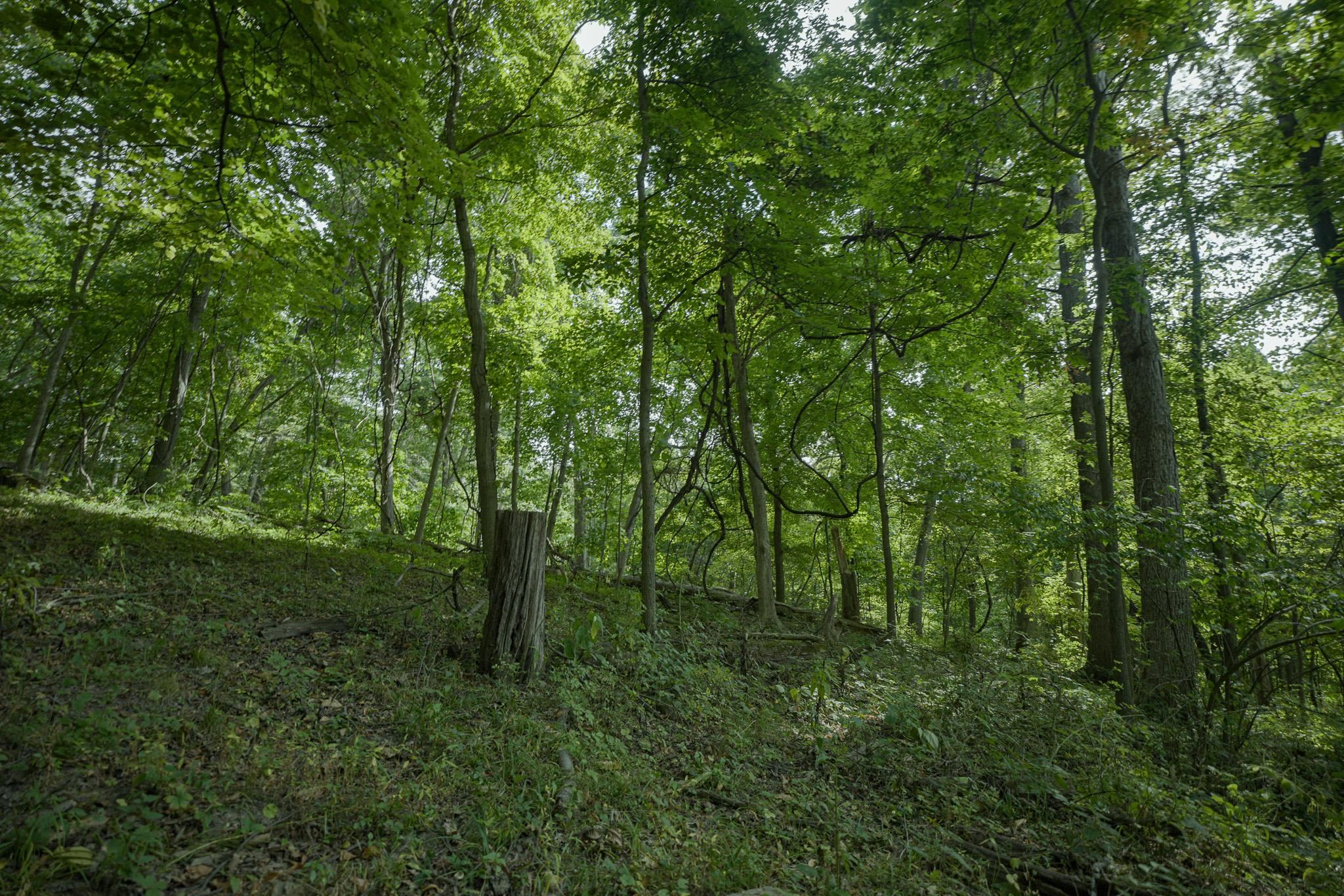 Photo 1 of 43 — 4820 Kopper Pond Rd., HANOVER, IL 61041