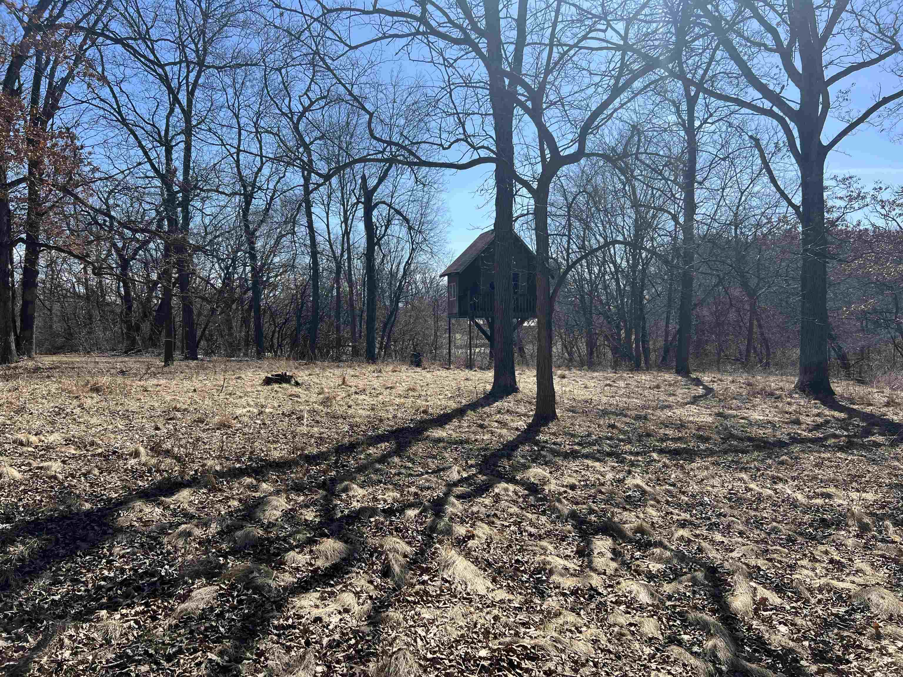 16524 Grove Creek Circle - Photo 2
