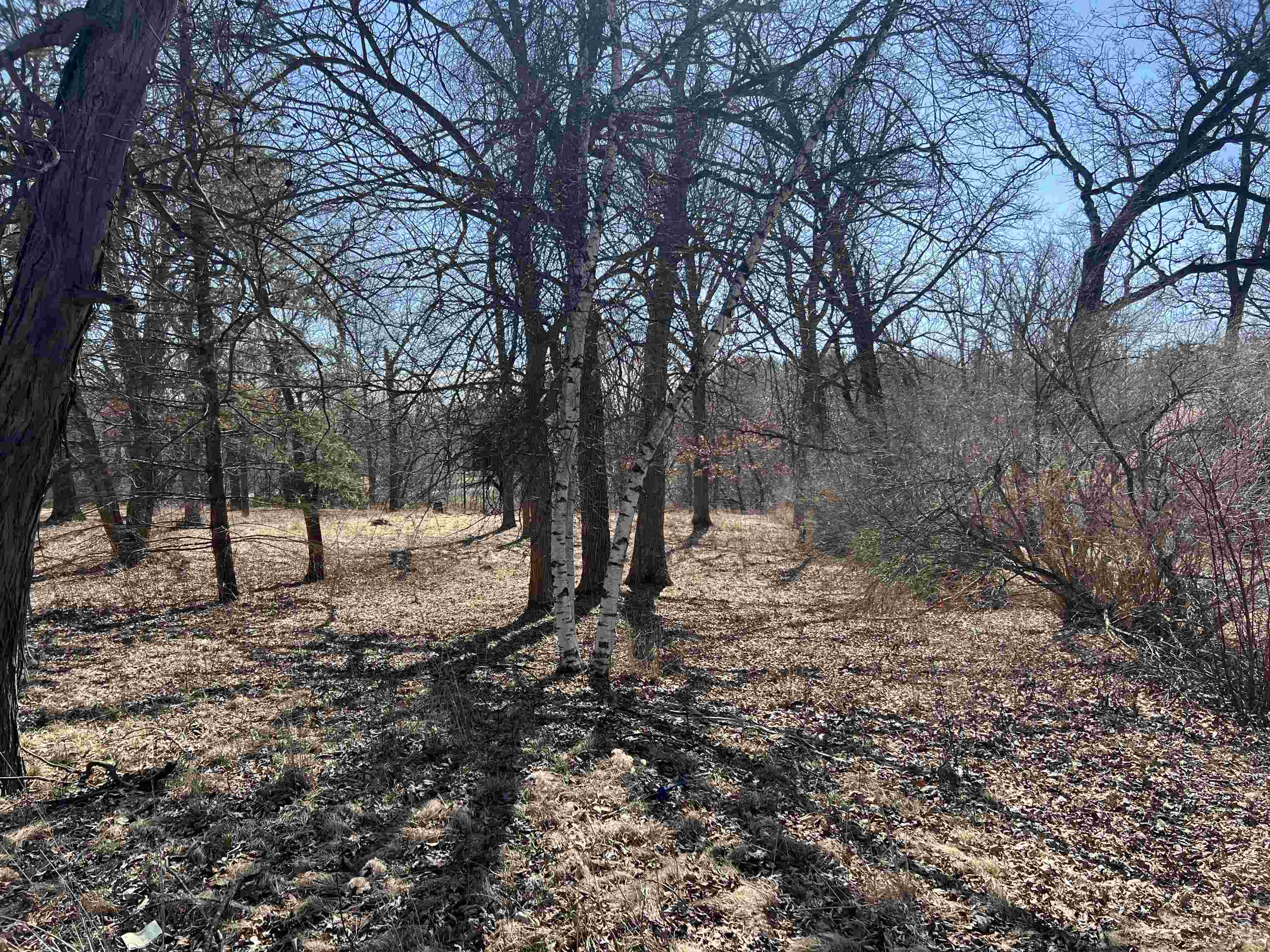 16524 Grove Creek Circle - Photo 4