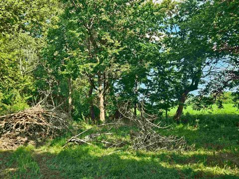 Vacant Land For Sale - 000 S Anterior Road<br/> OREGON, IL 61061