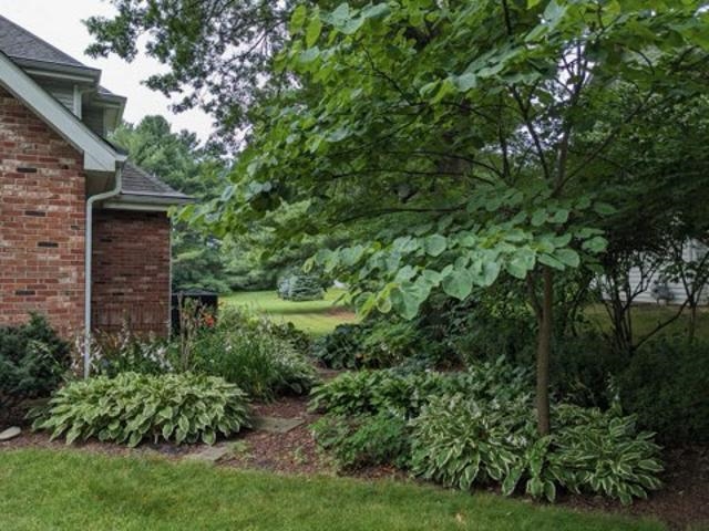 Rockford, Illinois 61114, United States, 4 Bedrooms Bedrooms, ,3 BathroomsBathrooms,Residential,Pending,37740