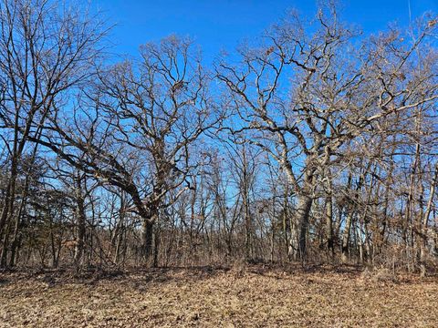 Vacant Land For Sale - 4722 W Longhollow Road<br/> Jo Daviess County, GALENA, IL 61036