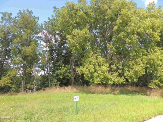 SPROULE LN, GALENA, IL 61036 - Image dbccdf37749bbd92baa5a214a5b75454/620064714