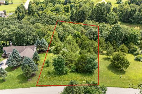 Vacant Land For Sale - 11A70 Fairway Drive<br/> Jo Daviess County, APPLE RIVER, IL 61001