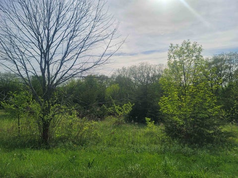 Vacant Land For Sale - 136 Blackhawk Trace<br/> GALENA, IL 61036
