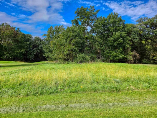 2-272 PARKVIEW CIR, LANARK, IL 61046 - Image f873b3e214218907986ad2be96d92d8d/307792673