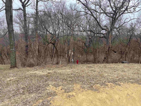 Vacant Land For Sale - 9A36 Pine Court<br/> APPLE RIVER, IL 61001