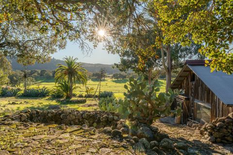 Photo of 5100 Lovall Valley Road, Sonoma, CA 95476 (MLS # 326004758)