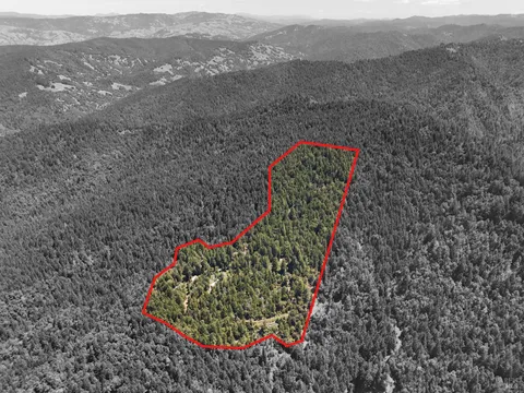 MLS: 325045009