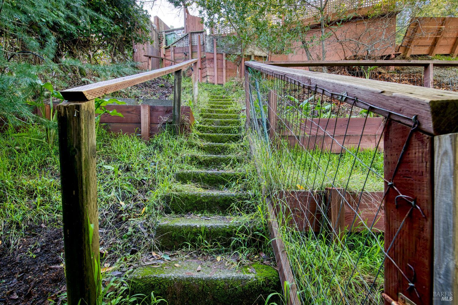 223 Tamalpais Road