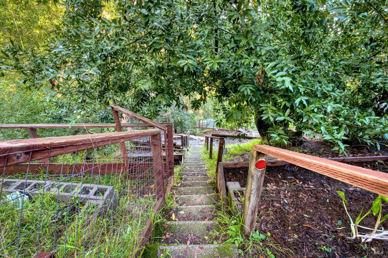 223 Tamalpais Road