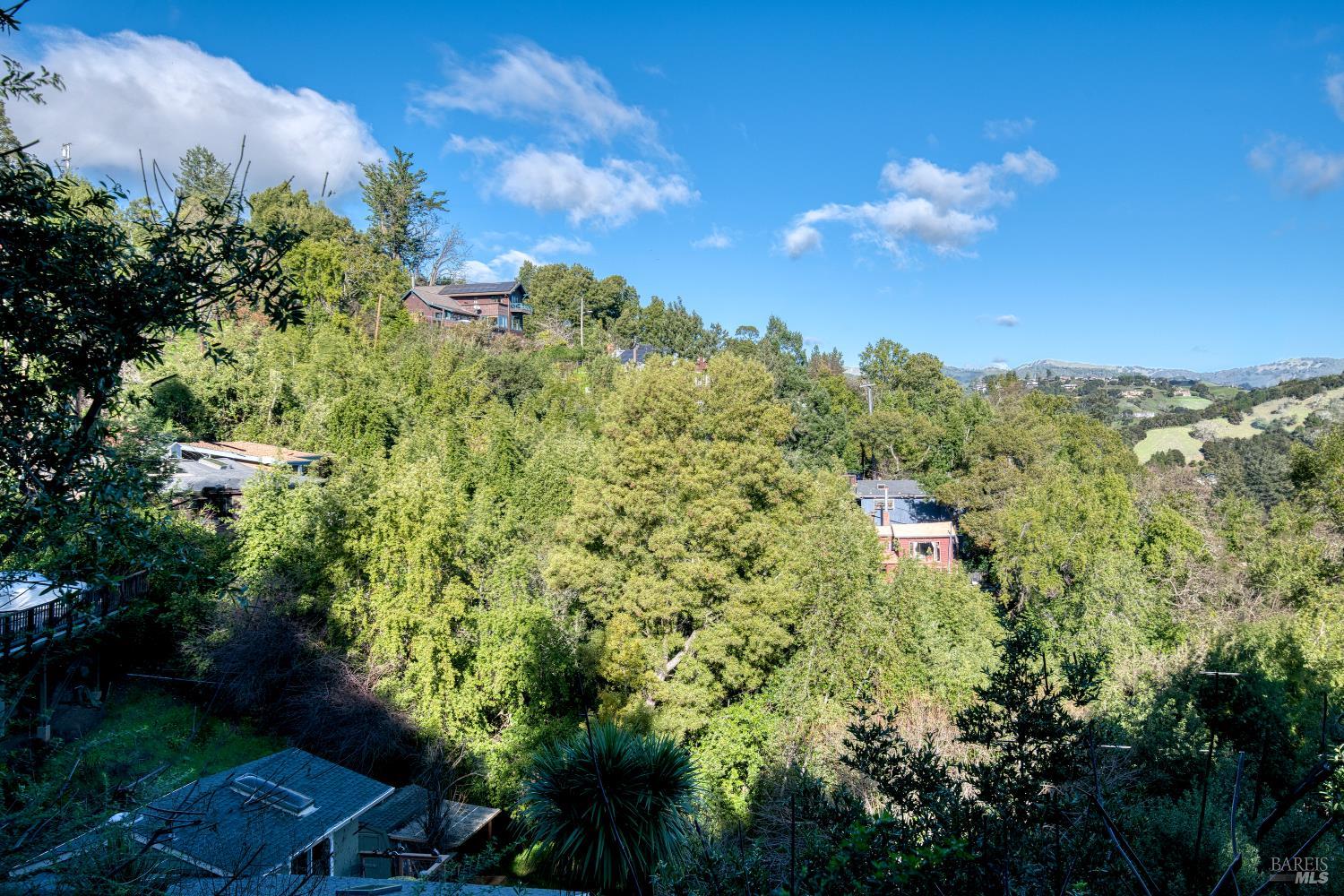 223 Tamalpais Road