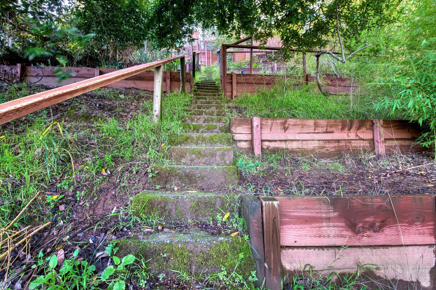 223 Tamalpais Road