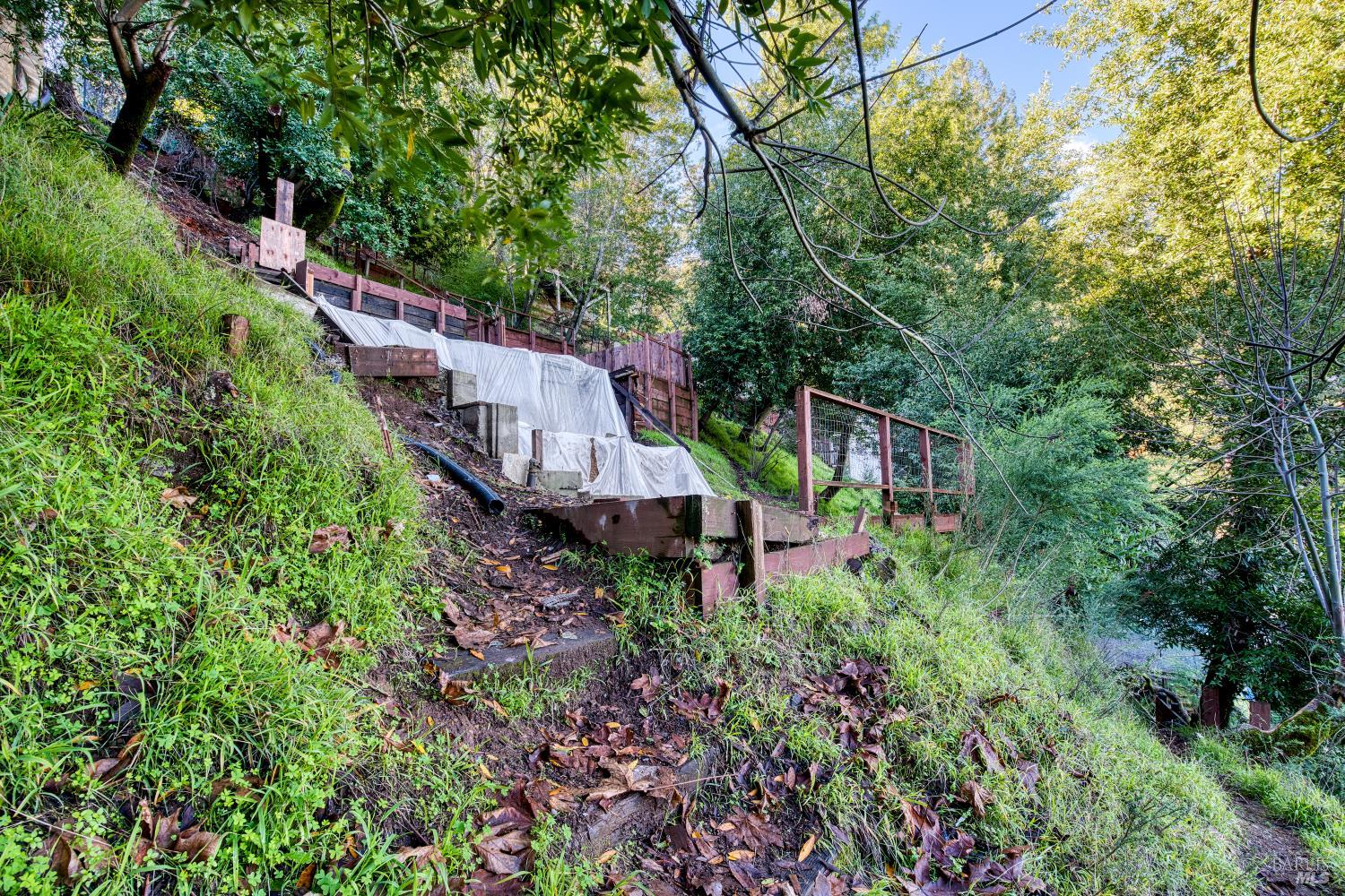 223 Tamalpais Road
