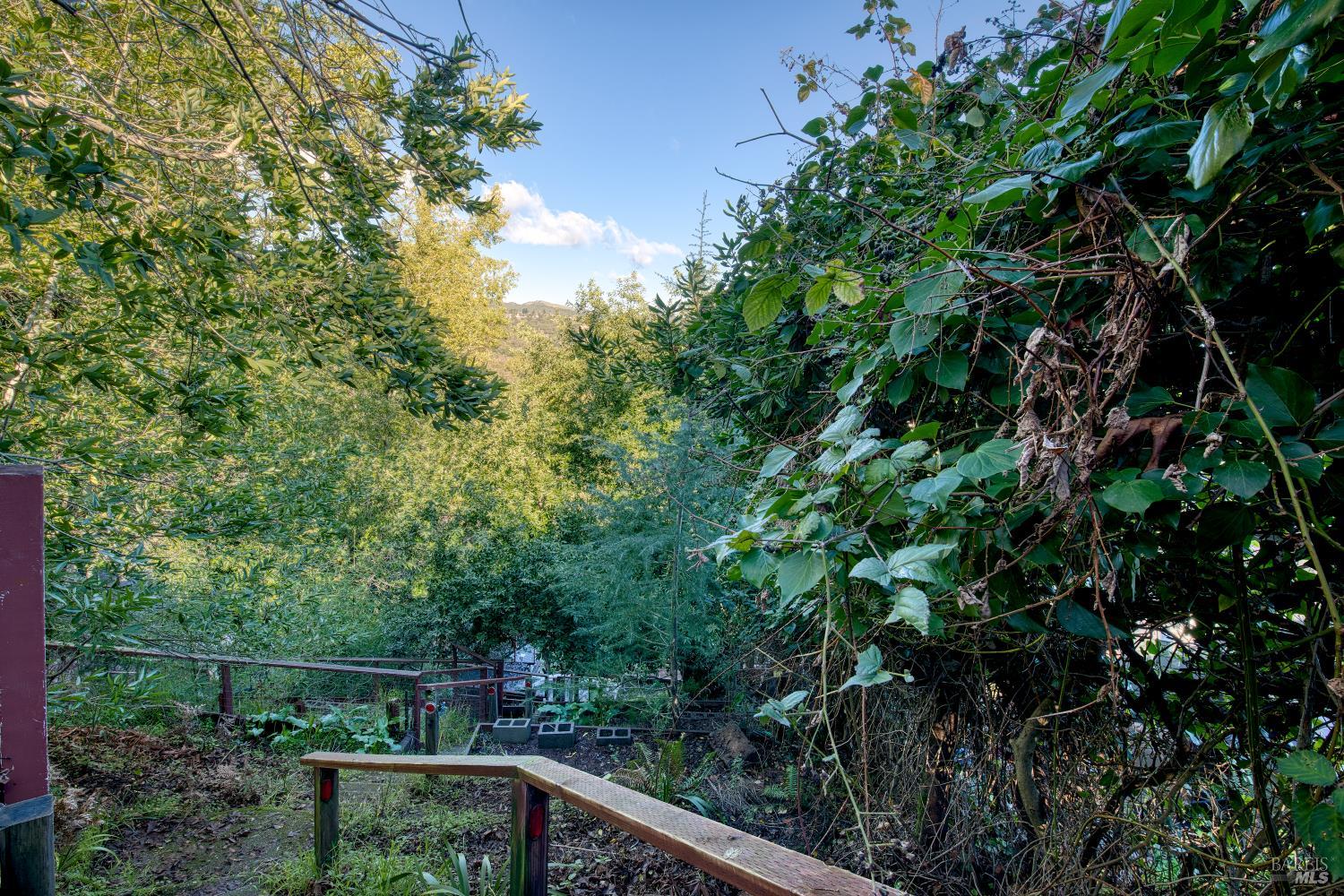 223 Tamalpais Road