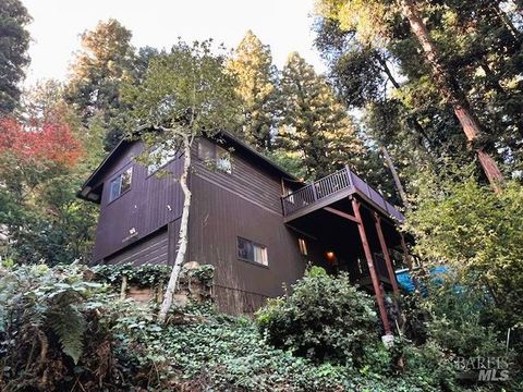 Photo of 17360 Park Avenue, Guerneville, CA 95446 (MLS # 325096309)
