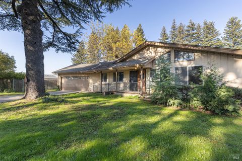 Photo of 101 Bailhache Avenue, Healdsburg, CA 95448 (MLS # 325102486)