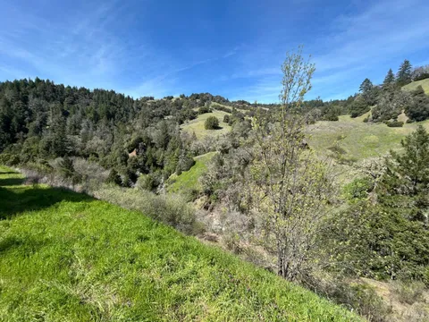 MLS: 325004787