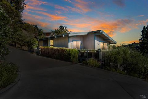 Photo of 70 Essex Street, San Anselmo, CA 94960 (MLS # 326018081)