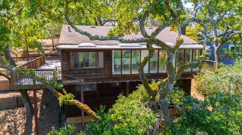 Photo of 48 Manzanita Avenue, Novato, CA 94945 (MLS # 325075285)