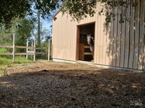 Photo of 950 Canyon Road, Geyserville, CA 95441 (MLS # 325030618)