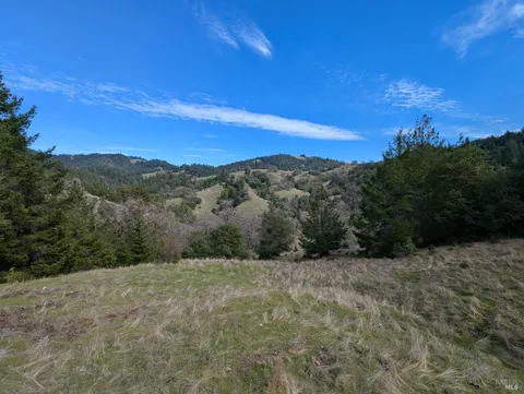 MLS: 325027616