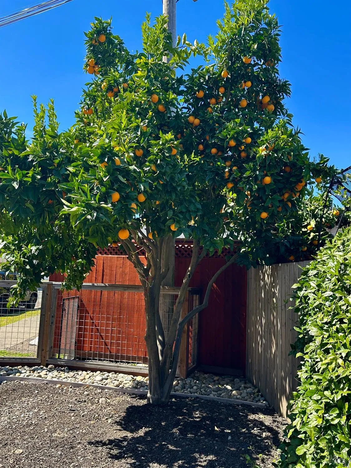 Santa Rosa, California 95405, United States, 3 Bedrooms Bedrooms, ,1 BathroomBathrooms,Residential,Active,98314