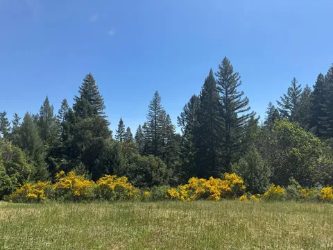 MLS: 324041135