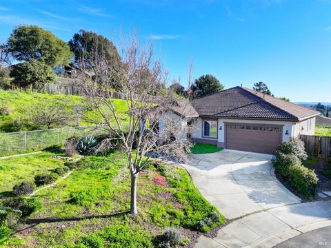 Photo of 6 Goldeneye Court, American Canyon, CA 94503 (MLS # 325104468)