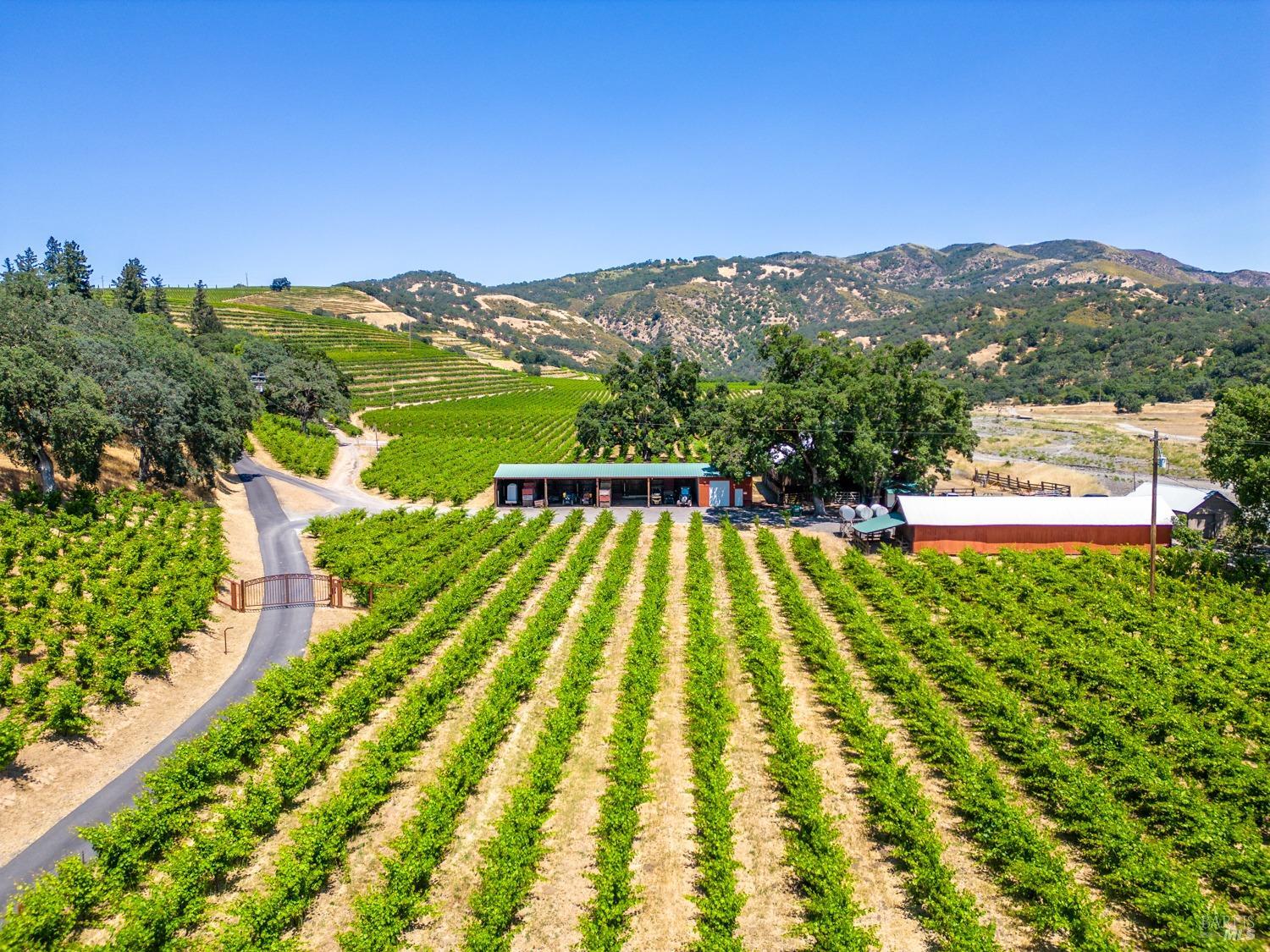 Ukiah, California, 95482, United States, 4 Bedrooms Bedrooms, ,3 BathroomsBathrooms,Residential,Active,1963393