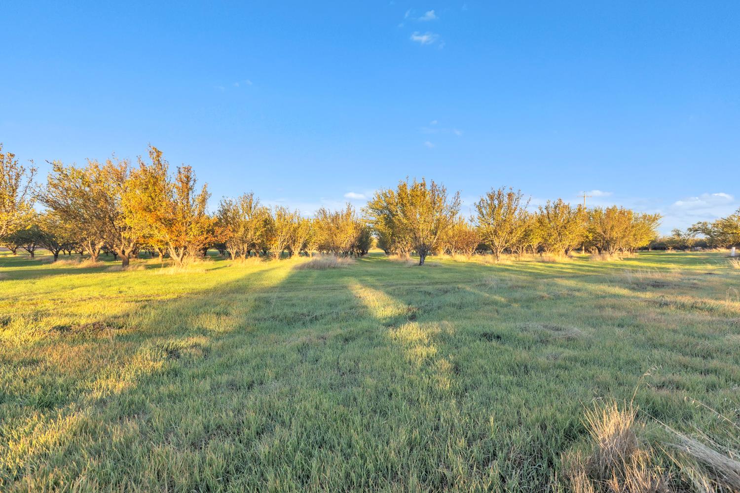 Esparto, California, 95627, United States, 3 Bedrooms Bedrooms, ,2 BathroomsBathrooms,Residential,Active,1985852