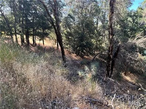 MLS: 325025355