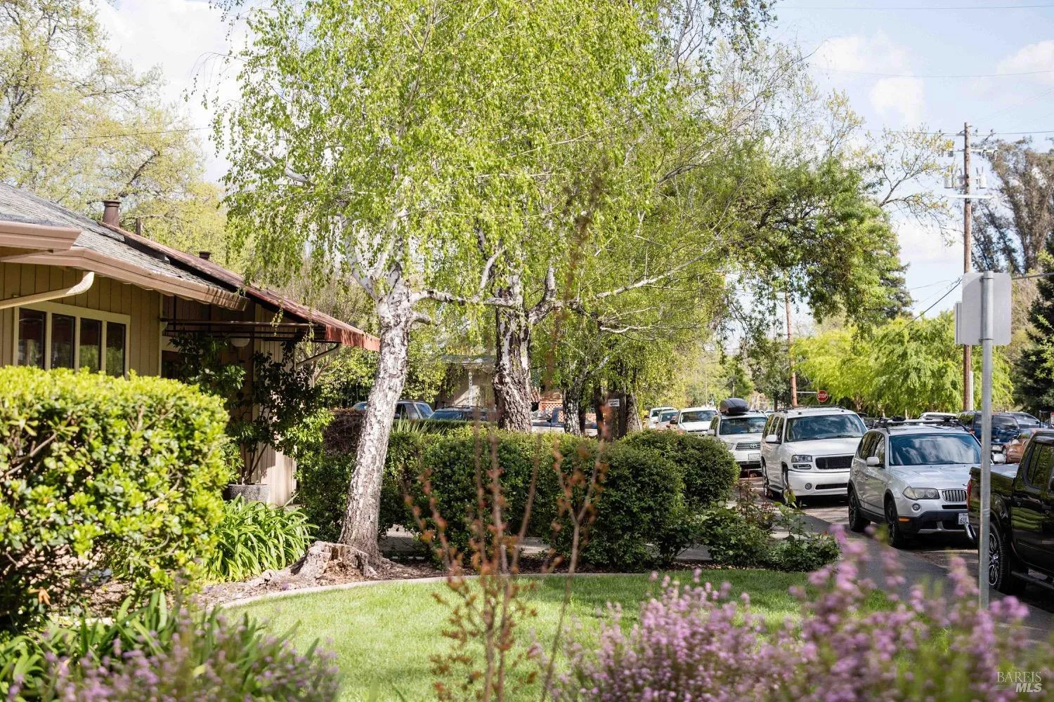 Calistoga, California 94515, United States, ,Residential,Active,105535