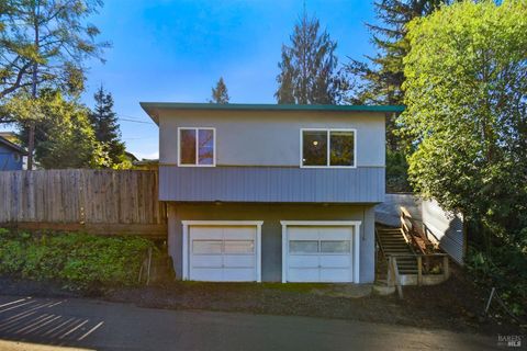 Photo of 8221 Spring Drive, Forestville, CA 95436 (MLS # 326009999)