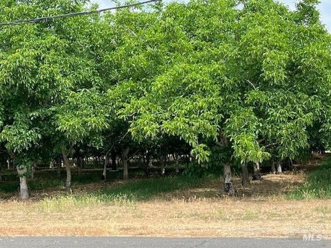 Photo of 0 winters Road, Winters, CA 95694 (MLS # 325006408)