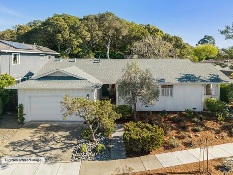 Photo of 266 Riviera Drive, San Rafael, CA 94901 (MLS # 326018434)