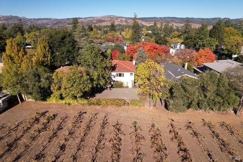 Photo of 1747 Scott Street, Saint Helena, CA 94574 (MLS # 325020269)