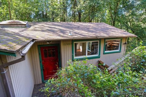 Photo of 10987 Terrace Drive, Forestville, CA 95436 (MLS # 326015203)